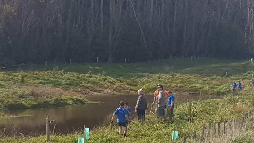 Mangatete planting