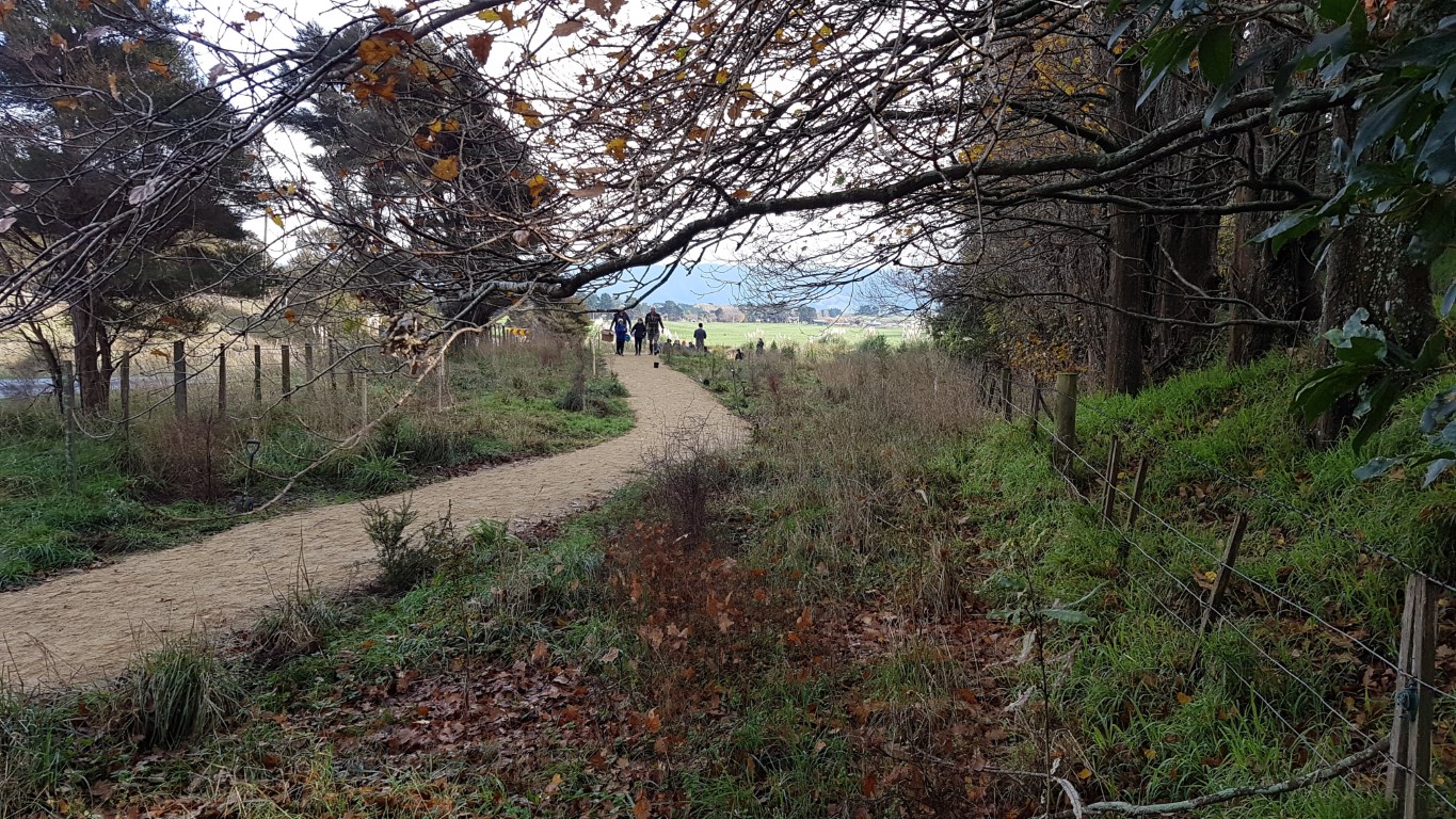 Wetland walkway